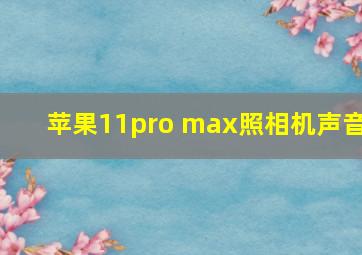 苹果11pro max照相机声音